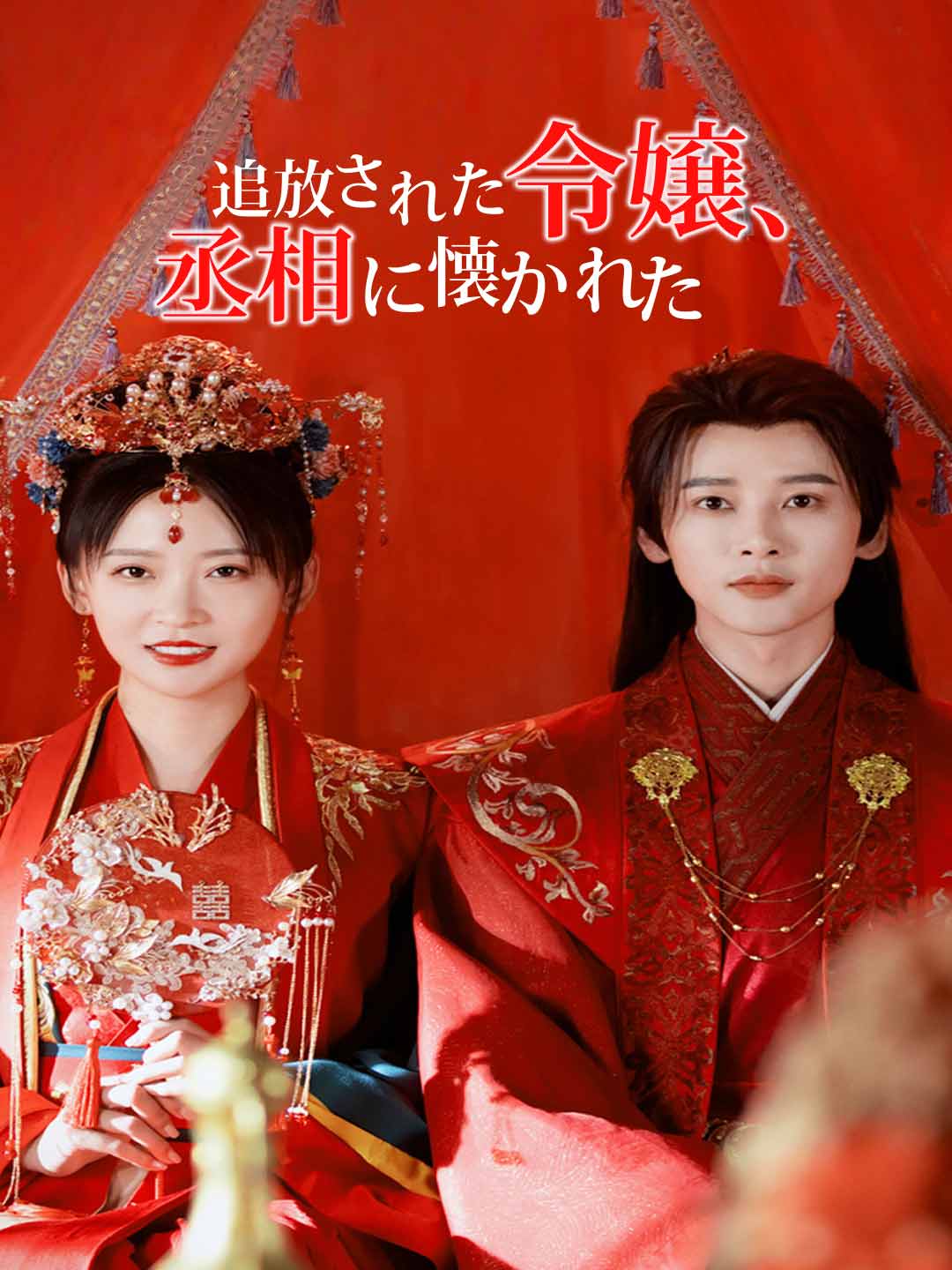 追放された令嬢、丞相に懐かれたミニシリーズ