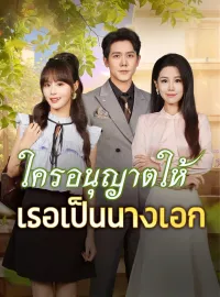 ใครอนุญาตให้เธอเป็นนางเอกมินิซีรีส์