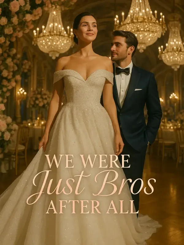 We Were Just Bros After All Novel Cover