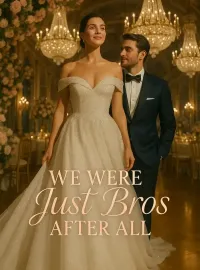 We Were Just Bros After All Novel Cover