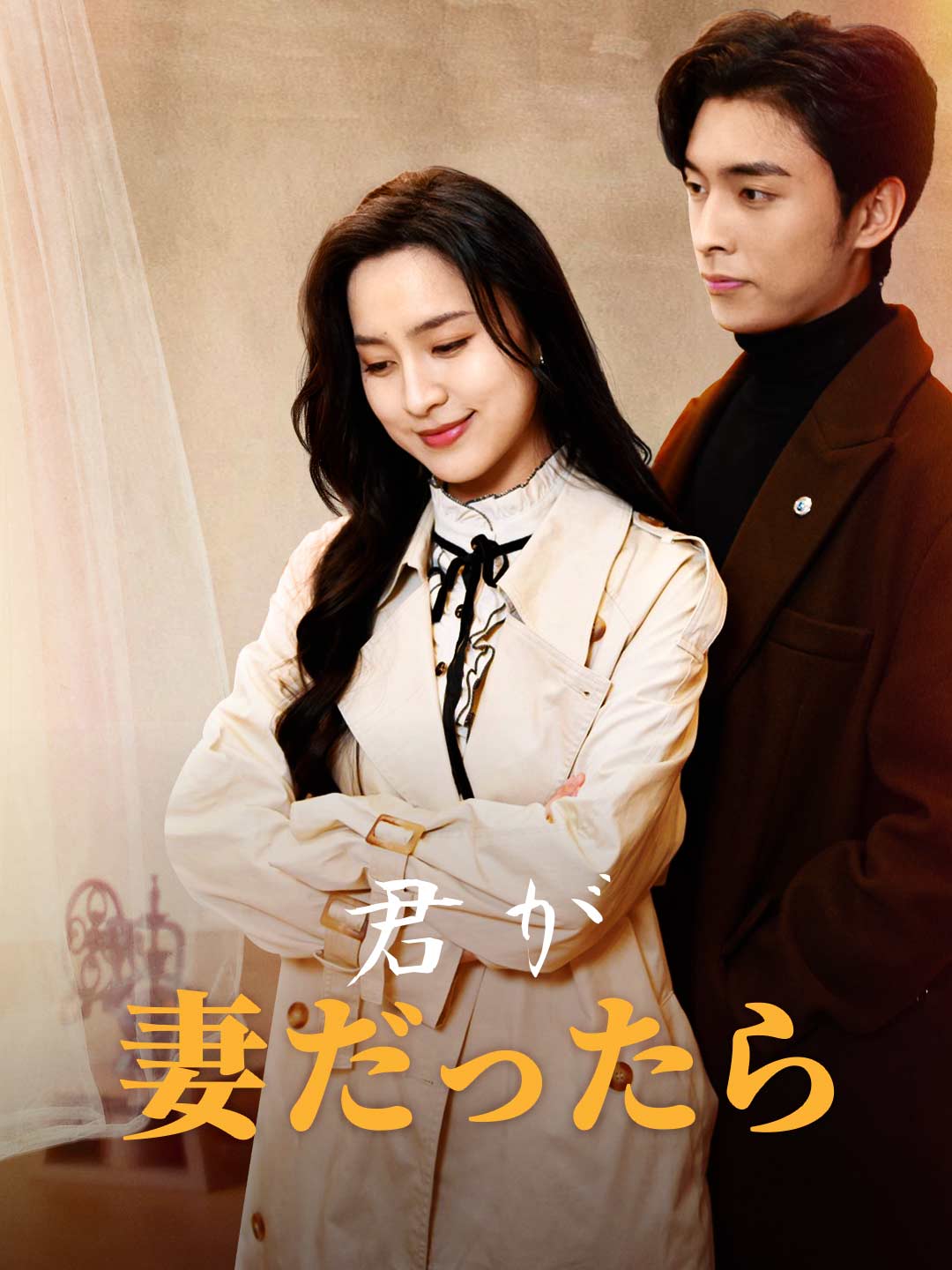 君が妻だったらいいのにミニシリーズ