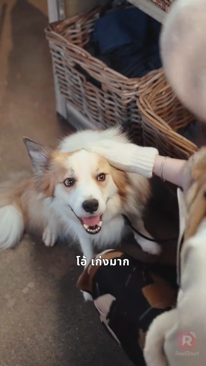 ปรุงรสหัวใจให้กลับมารูปภาพ