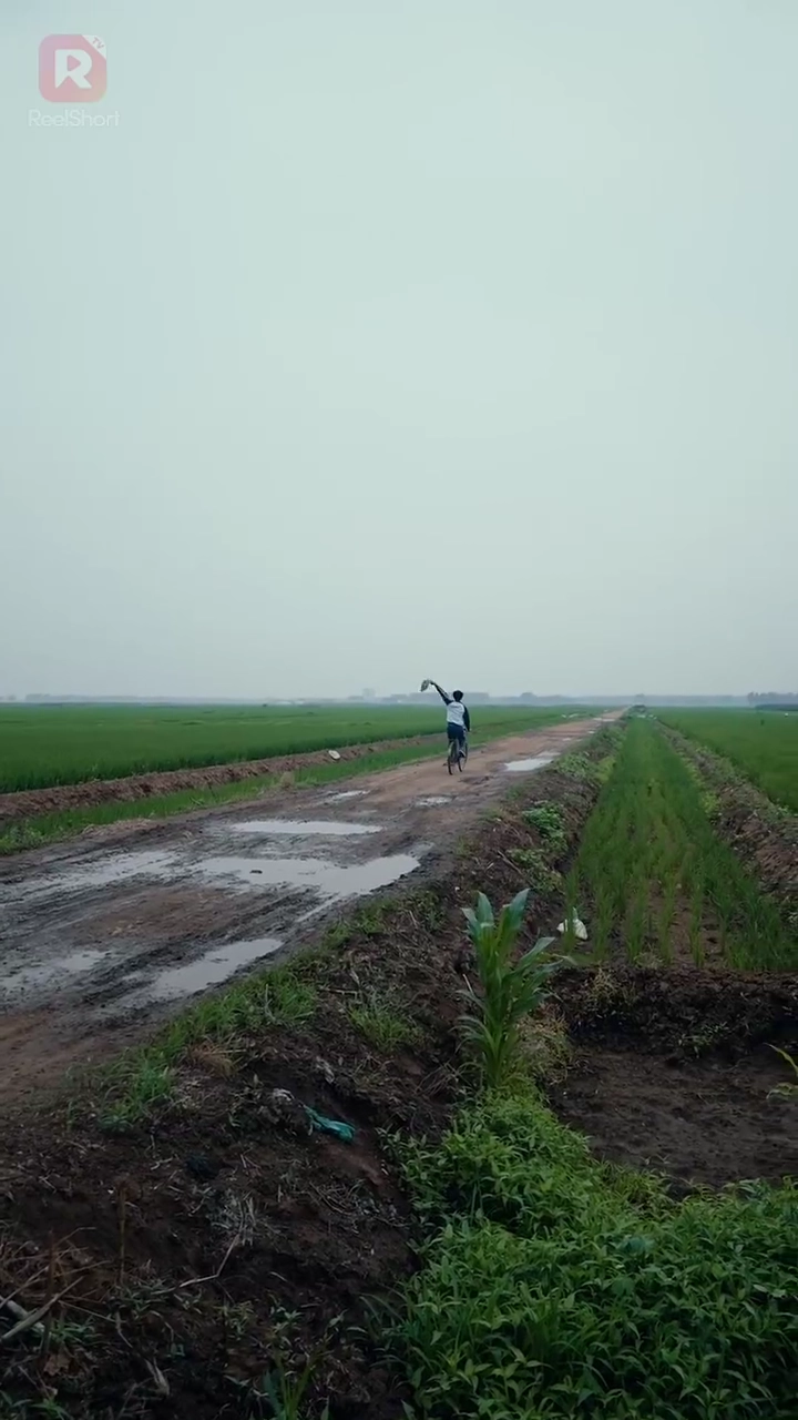 ใบไม้หวนคืนสู่รากเหง้ารูปภาพ