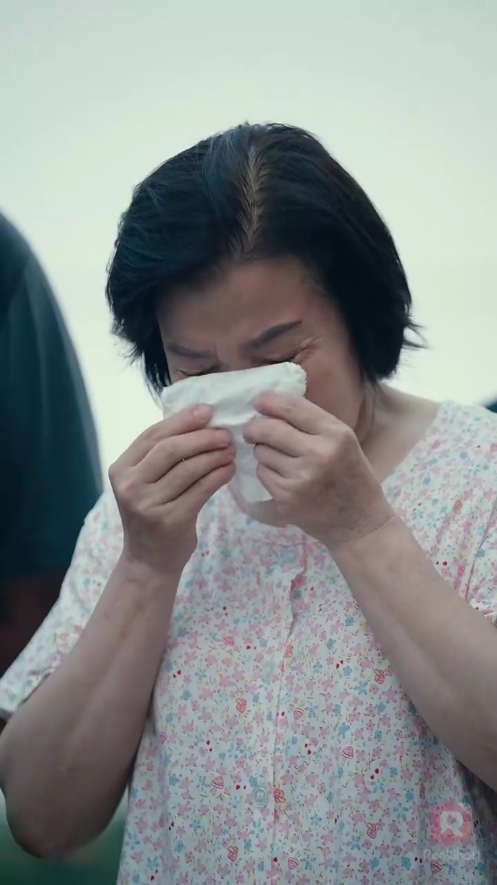 ใบไม้หวนคืนสู่รากเหง้ารูปภาพ