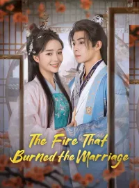 The Fire That Burned the MarriageMini Series