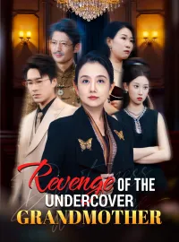 Revenge of the Undercover GrandmotherMini Series