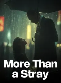 More Than a Stray Novel Cover