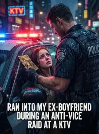 Ran Into My Ex-Boyfriend During an Anti-Vice Raid at a KTV Novel Cover