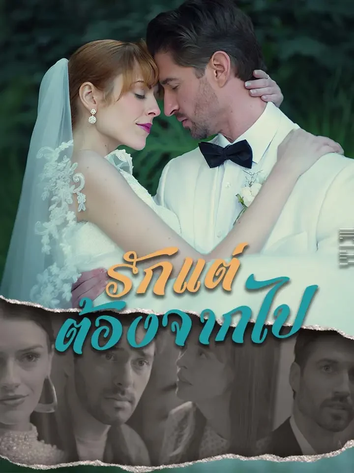 รักแต่ต้องจากไปมินิซีรีส์