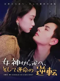 女神から泥へ、そして運命の逆転ショートドラマ