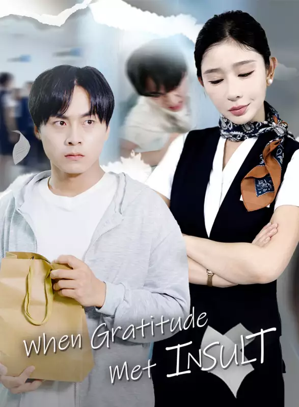 When Gratitude Met Insult Mini Series