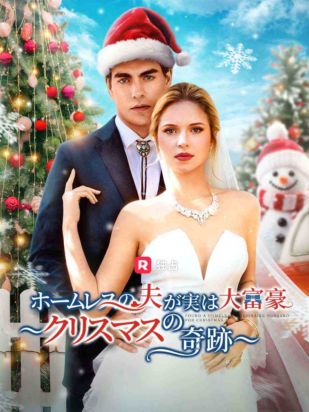 (吹き替え) ホームレスの夫が実は大富豪 ～クリスマスの奇跡～ミニシリーズ