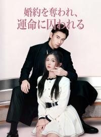 婚約を奪われ、 運命に囚われるショートドラマ