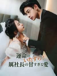 運命のいたずら？厲社長の甘すぎる愛ショートドラマ