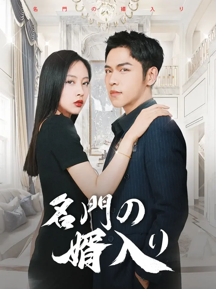 名門の婿入りミニシリーズ