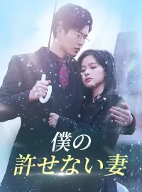 僕の許せない妻ミニシリーズ