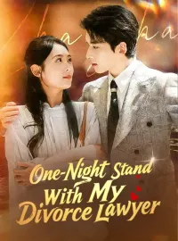 One-Night Stand With My Divorce LawyerMini Series