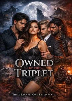 Owned by the Triplet Novel Cover