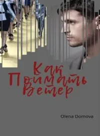Обложка новеллы Как Поймать Ветер
