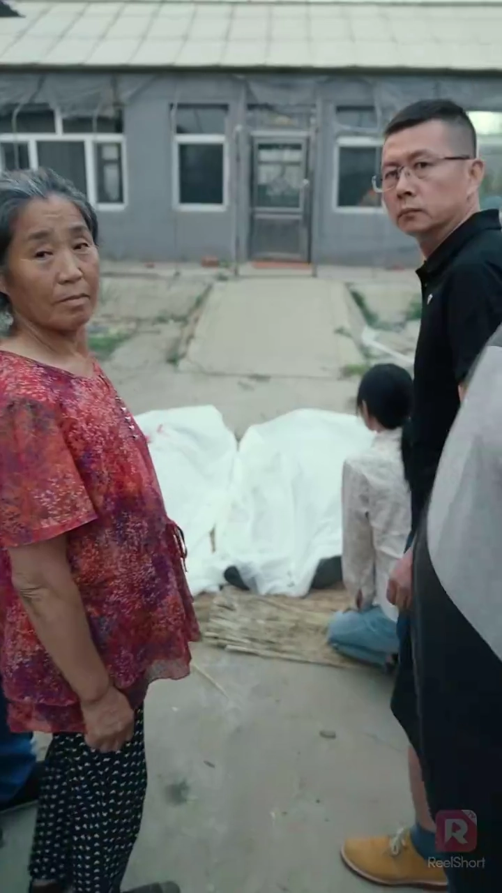 ใบไม้หวนคืนสู่รากเหง้ารูปภาพ