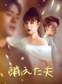 消えた夫ミニシリーズ