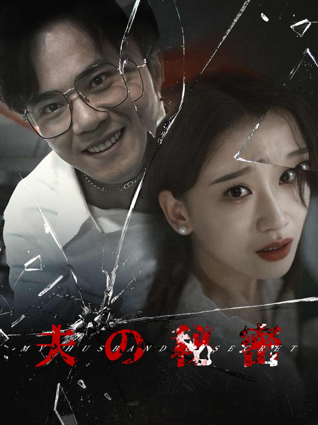 夫の秘密ミニシリーズ