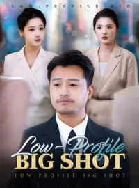 Low-Profile Big ShotMini Series