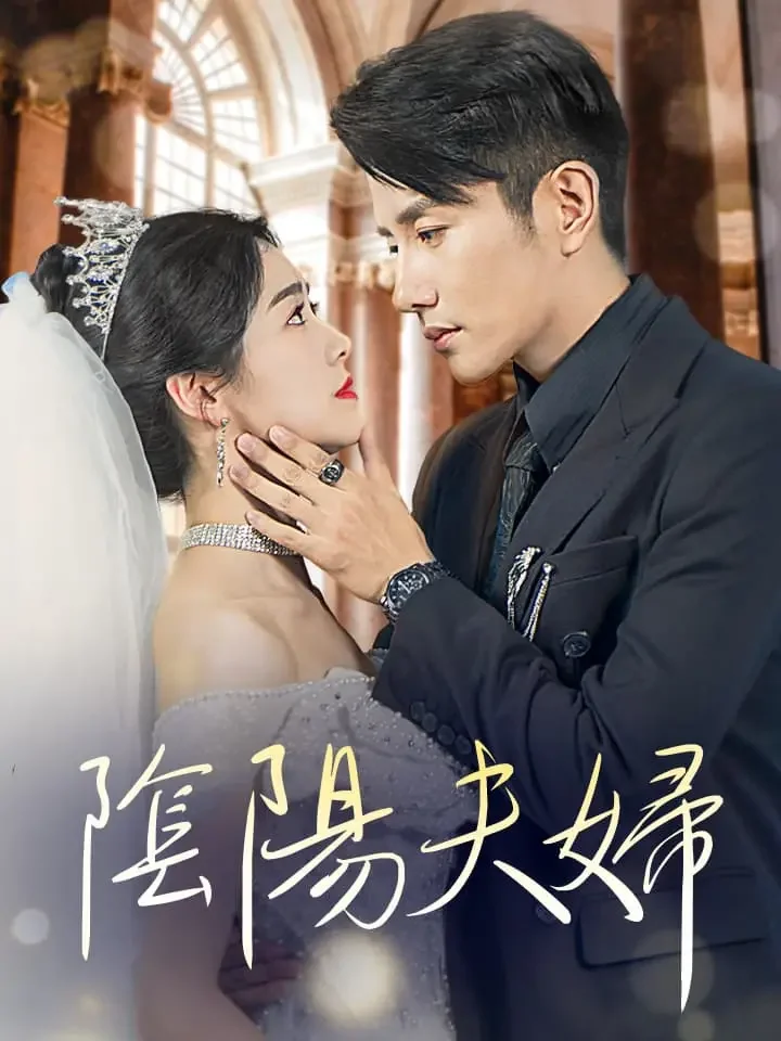 陰陽夫婦ミニシリーズ