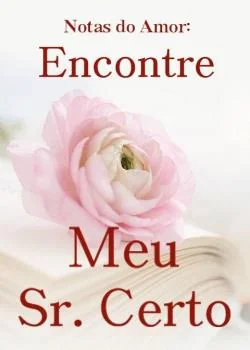Capa do romance Notas do Amor: Encontre Meu Sr. Certo