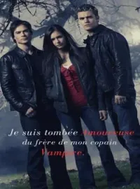 Couverture du roman Je suis tombée amoureuse du frère de mon copain vampire.