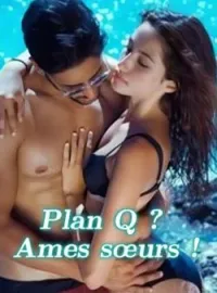 Couverture du roman Plan Q ? Ames sœurs !