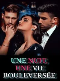 Couverture du roman UNE NUIT, UNE VIE BOULEVERSÉE 