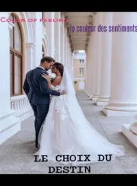 Couverture du roman Le choix du destin