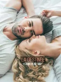 Couverture du roman LA DESTINÉE