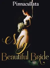 Sampul Novel My Beautiful Bride