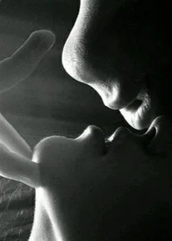 Capa do romance AMOR OU PAIXAO INDOMAVEL