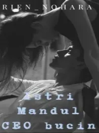 Sampul Novel Istri mandul CEO bucin