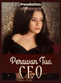 Sampul Novel Perawan Tua Idola CEO