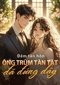 Bìa tiểu thuyết Đêm tân hôn, ông trùm tàn tật đã đứng dậy