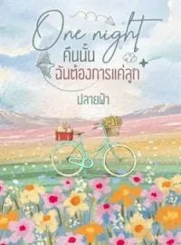 หน้าปกนวนิยาย One night คืนนั้นฉันต้องการแค่ลูก