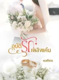 หน้าปกนวนิยาย อุบัติรักเพลิงแค้น
