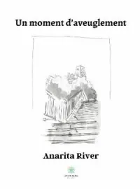 Couverture du roman Un moment d'aveuglement