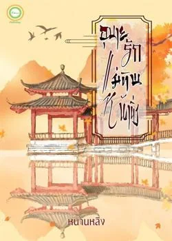 หน้าปกนวนิยาย อุบายรักแม่ทัพหน้านิ่ง