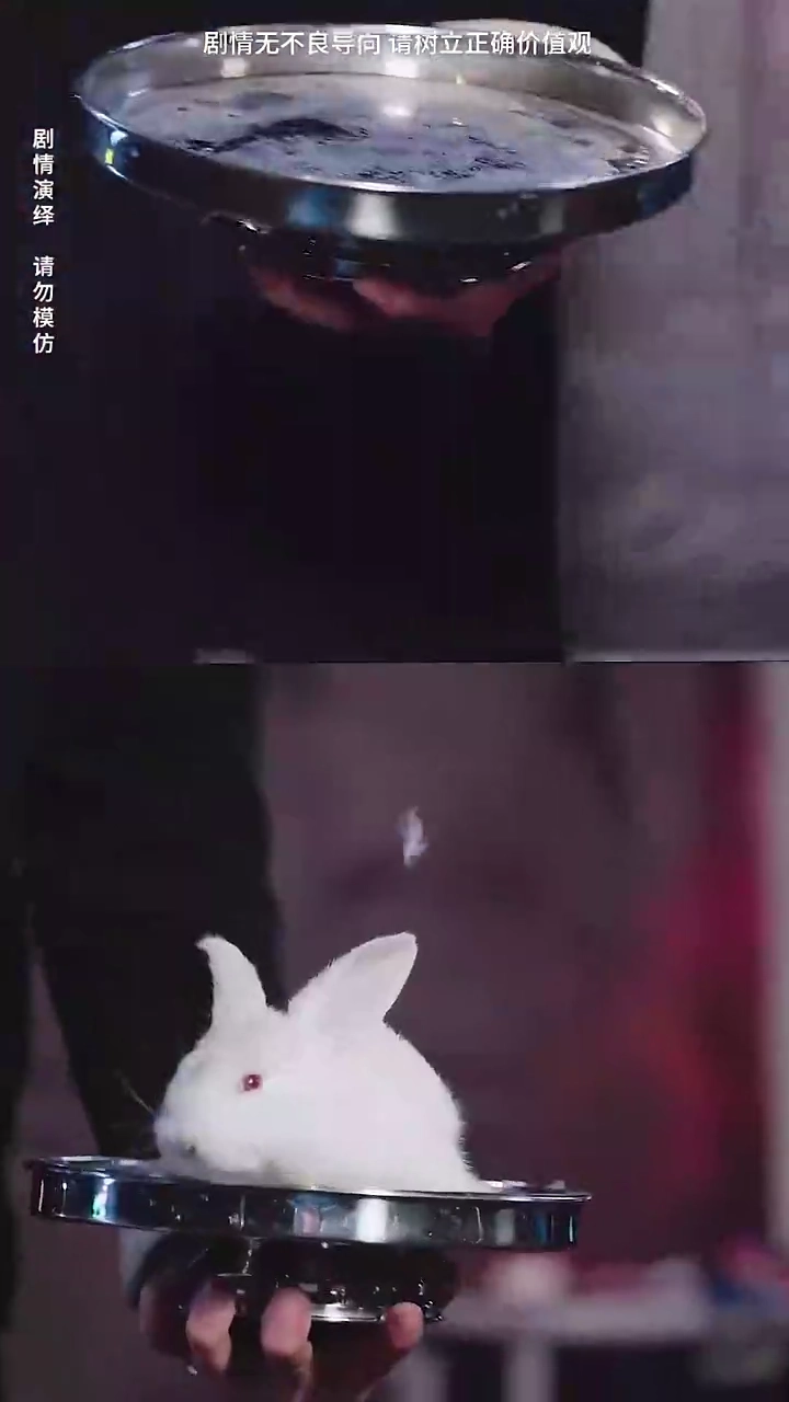 The Wedding That Shook The FamilyPhoto