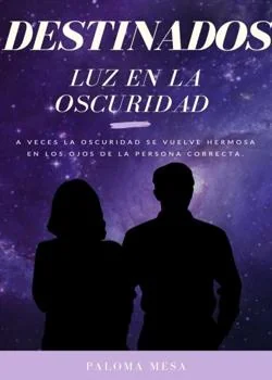 Portada de la novela Luz en la oscuridad