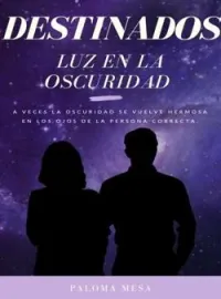 Portada de la novela Luz en la oscuridad