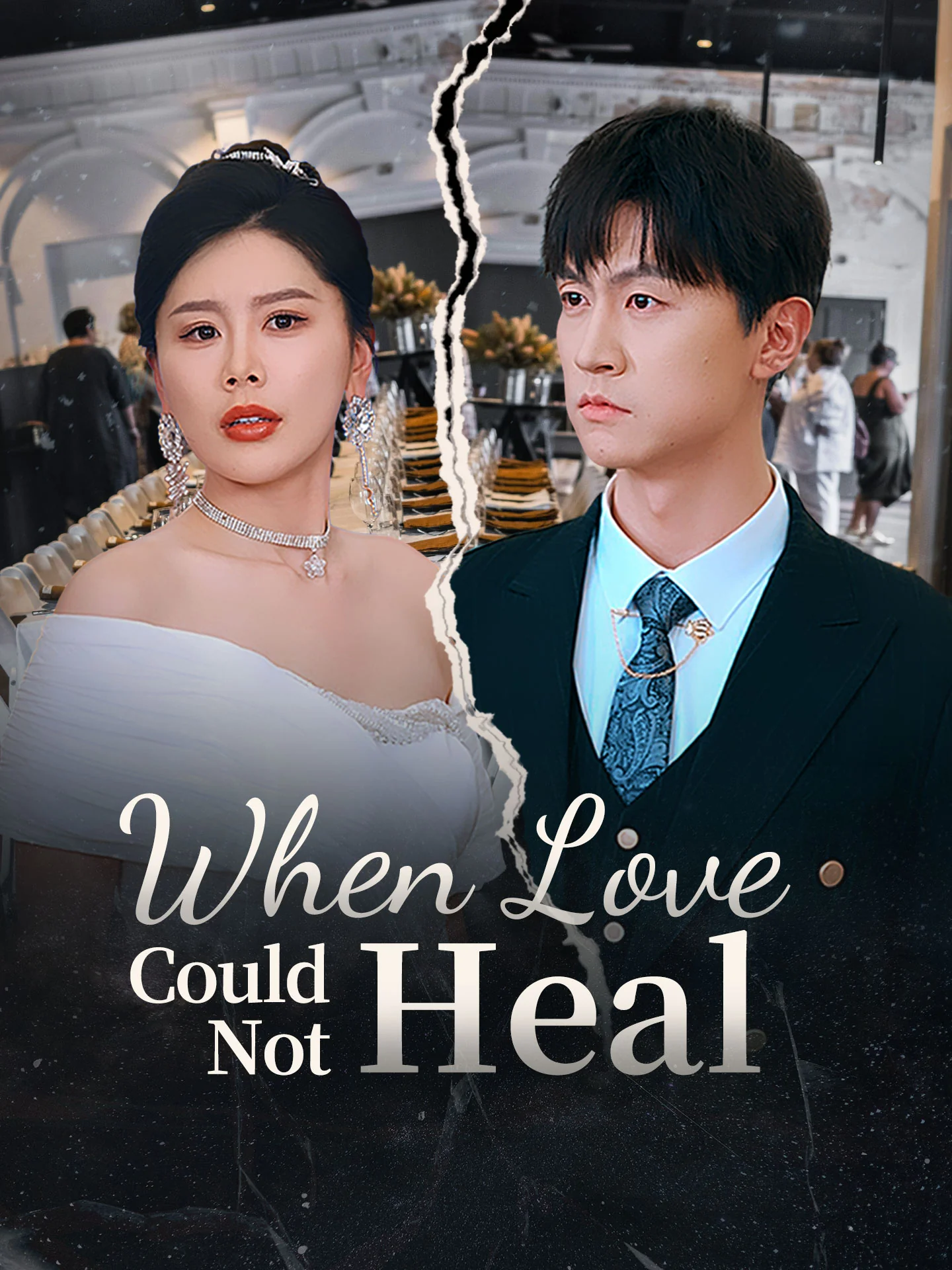 When Love Could Not Heal cover art