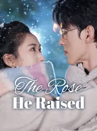 The Rose He RaisedShort Dramas