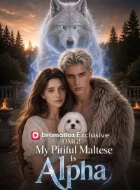OMG! My Pitiful Maltese Is Alpha