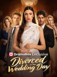 Divorced at the Wedding Day